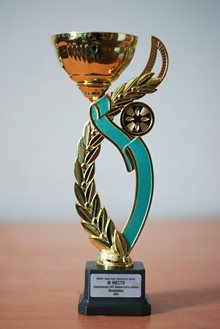3 место Спартакиада ГОЛ Приморского района. Пионербол 2014